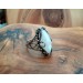 Silver ring with moonstone
