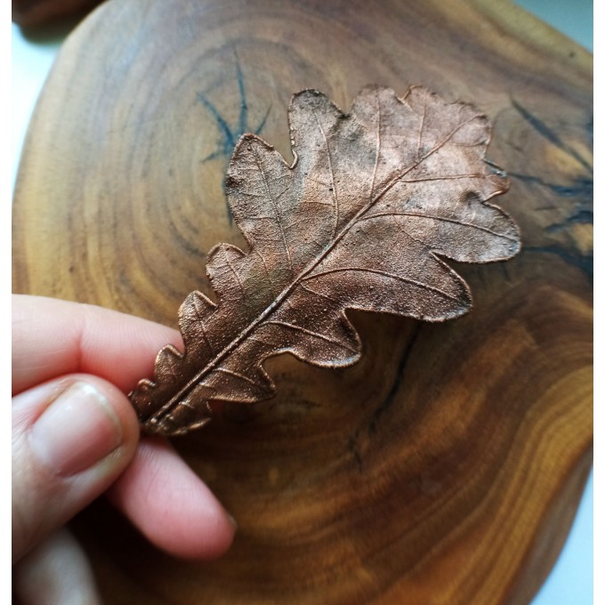 Copper oak hairclip