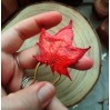Red maple leaf copper hair-stick 