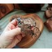 Copper oak leaves hair clip 