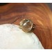 Brass filigree ring with rutile quartz
