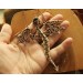Green onyx wire-wrapped copper dragon