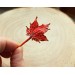 Copper maple leaf brooch