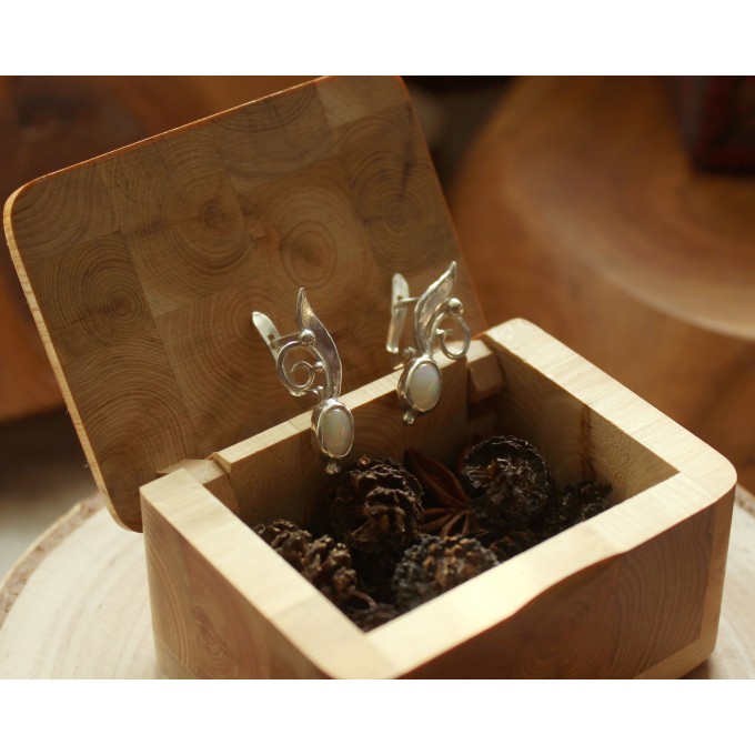 Silver earrings with opals