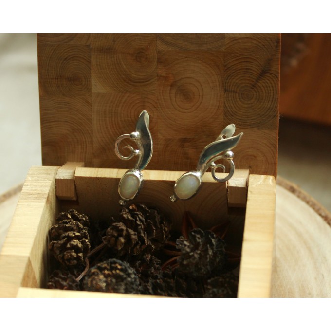 Silver earrings with opals