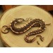 Copper Dragon wire wrap brooch