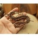 Copper Dragon wire wrap brooch