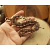Copper Dragon wire wrap brooch