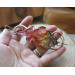 Copper hair clip with red - green oak leaf