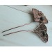Ginkgo hair comb with labradorite